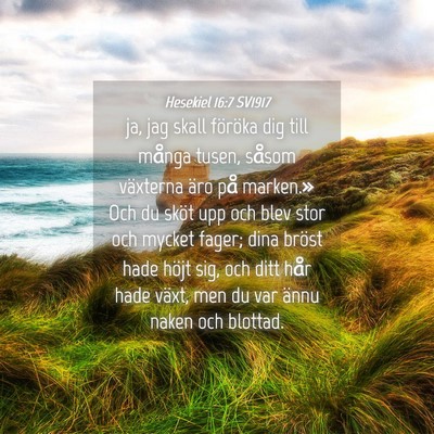 Picture 04 - Hesekiel 16:7 SV1917 - ja, jag skall föröka dig till många tusen, - Bible Verse Picture