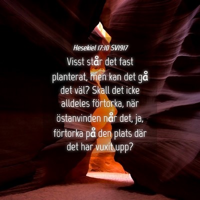 Picture 04 - Hesekiel 17:10 SV1917 - Visst står det fast planterat, men kan det gå - Bible Verse Picture