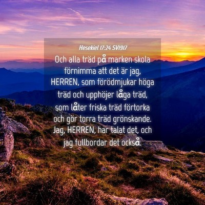 Picture 04 - Hesekiel 17:24 SV1917 - Och alla träd på marken skola förnimma att det - Bible Verse Picture