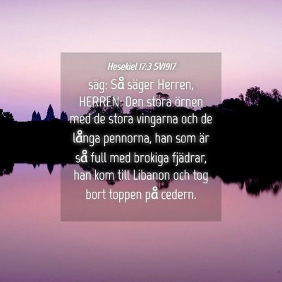 Picture 04 - Hesekiel 17:3 SV1917 - säg: Så säger Herren, HERREN: Den stora örnen - Bible Verse Picture
