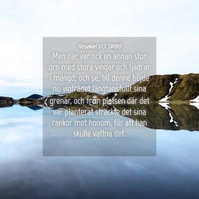 Picture 04 - Hesekiel 17:7 SV1917 - Men där var ock en annan stor örn med stora - Bible Verse Picture