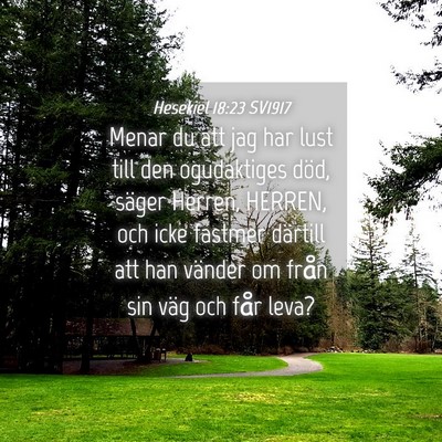 Picture 04 - Hesekiel 18:23 SV1917 - Menar du att jag har lust till den ogudaktiges - Bible Verse Picture