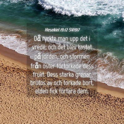 Picture 04 - Hesekiel 19:12 SV1917 - Då ryckte man upp det i vrede, och det blev - Bible Verse Picture