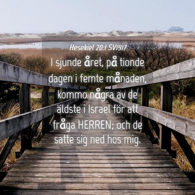 Picture 04 - Hesekiel 20:1 SV1917 - I sjunde året, på tionde dagen i femte - Bible Verse Picture