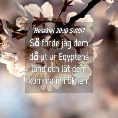 Picture 04 - Hesekiel 20:10 SV1917 - Så förde jag dem då ut ur Egyptens land och - Bible Verse Picture