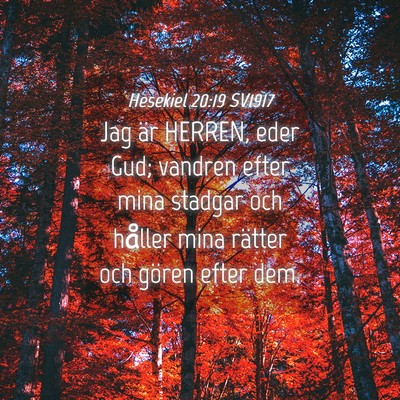 Picture 04 - Hesekiel 20:19 SV1917 - Jag är HERREN, eder Gud; vandren efter mina - Bible Verse Picture