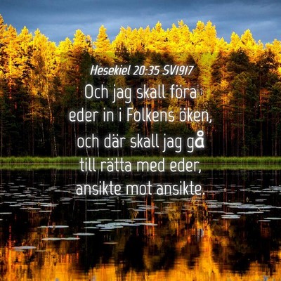 Picture 04 - Hesekiel 20:35 SV1917 - Och jag skall föra eder in i Folkens öken, och - Bible Verse Picture