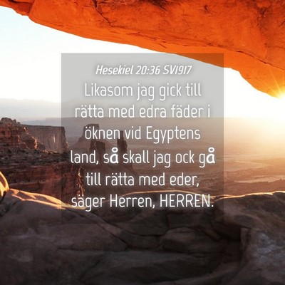 Picture 04 - Hesekiel 20:36 SV1917 - Likasom jag gick till rätta med edra fäder i - Bible Verse Picture