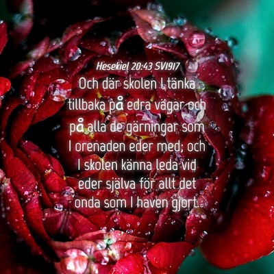 Picture 04 - Hesekiel 20:43 SV1917 - Och där skolen I tänka tillbaka på edra vägar - Bible Verse Picture