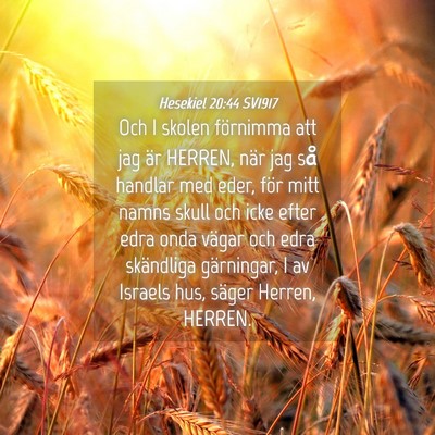 Picture 04 - Hesekiel 20:44 SV1917 - Och I skolen förnimma att jag är HERREN, när - Bible Verse Picture