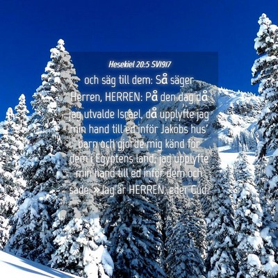 Picture 04 - Hesekiel 20:5 SV1917 - och säg till dem: Så säger Herren, HERREN: På - Bible Verse Picture