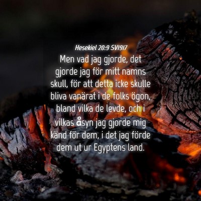 Picture 04 - Hesekiel 20:9 SV1917 - Men vad jag gjorde, det gjorde jag för mitt - Bible Verse Picture