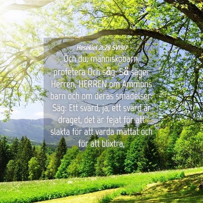 Picture 04 - Hesekiel 21:28 SV1917 - Och du, människobarn, profetera Och såg: Så - Bible Verse Picture