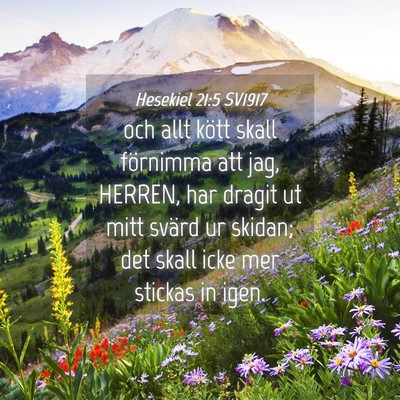 Picture 04 - Hesekiel 21:5 SV1917 - och allt kött skall förnimma att jag, HERREN, - Bible Verse Picture