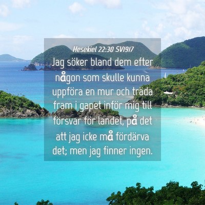 Picture 04 - Hesekiel 22:30 SV1917 - Jag söker bland dem efter någon som skulle - Bible Verse Picture