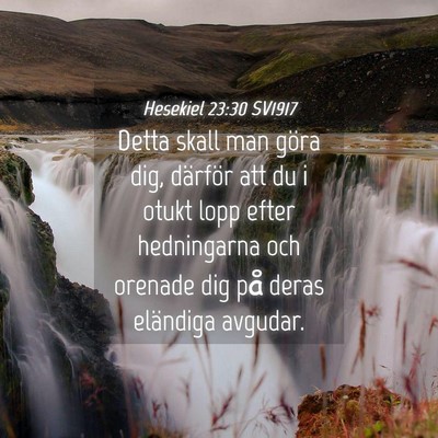 Picture 04 - Hesekiel 23:30 SV1917 - Detta skall man göra dig, därför att du i - Bible Verse Picture