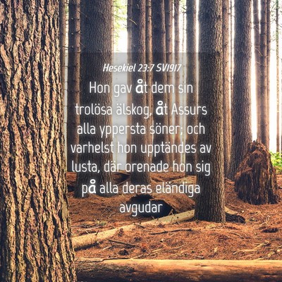 Picture 04 - Hesekiel 23:7 SV1917 - Hon gav åt dem sin trolösa älskog, åt Assurs - Bible Verse Picture
