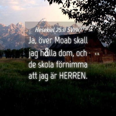 Picture 04 - Hesekiel 25:11 SV1917 - Ja, över Moab skall jag hålla dom, och de skola - Bible Verse Picture