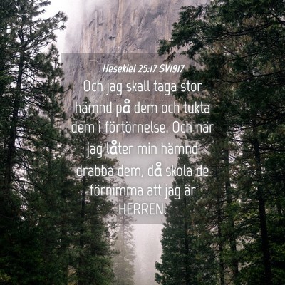 Picture 04 - Hesekiel 25:17 SV1917 - Och jag skall taga stor hämnd på dem och tukta - Bible Verse Picture