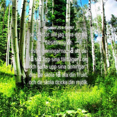 Picture 04 - Hesekiel 25:4 SV1917 - se, därför vill jag giva dig till besittning - Bible Verse Picture