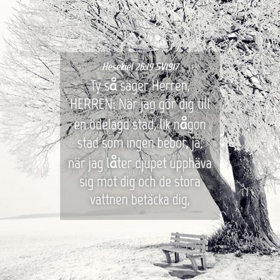 Picture 04 - Hesekiel 26:19 SV1917 - Ty så säger Herren, HERREN: När jag gör dig - Bible Verse Picture