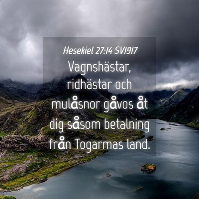 Picture 04 - Hesekiel 27:14 SV1917 - Vagnshästar, ridhästar och mulåsnor gåvos åt - Bible Verse Picture