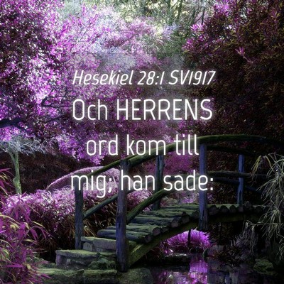 Picture 04 - Hesekiel 28:1 SV1917 - Och HERRENS ord kom till mig; han - Bible Verse Picture