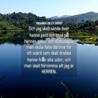 Picture 04 - Hesekiel 28:23 SV1917 - Och jag skall sända över henne pest och blod - Bible Verse Picture