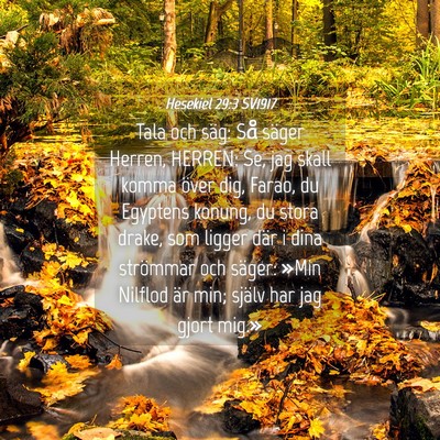 Picture 04 - Hesekiel 29:3 SV1917 - Tala och säg: Så säger Herren, HERREN: Se, jag - Bible Verse Picture