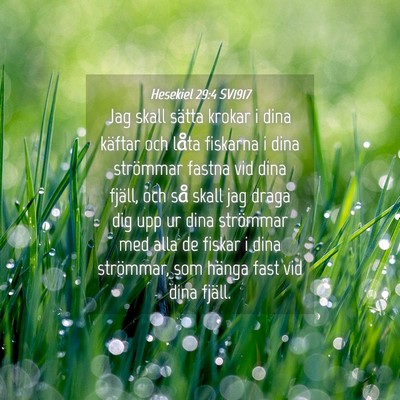 Picture 04 - Hesekiel 29:4 SV1917 - Jag skall sätta krokar i dina käftar och låta - Bible Verse Picture