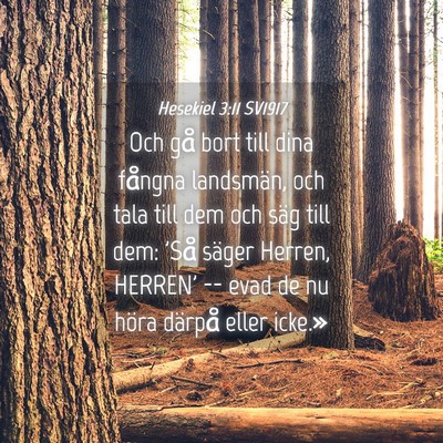 Picture 04 - Hesekiel 3:11 SV1917 - Och gå bort till dina fångna landsmän, och - Bible Verse Picture