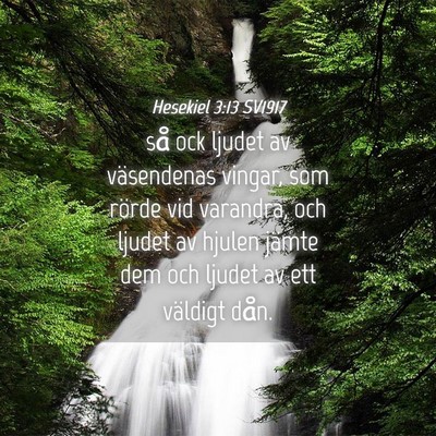 Picture 04 - Hesekiel 3:13 SV1917 - så ock ljudet av väsendenas vingar, som rörde - Bible Verse Picture