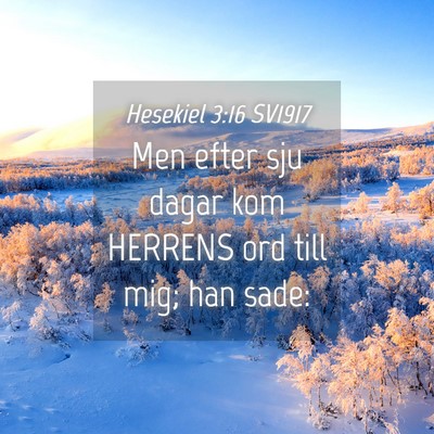 Picture 04 - Hesekiel 3:16 SV1917 - Men efter sju dagar kom HERRENS ord till mig; han - Bible Verse Picture
