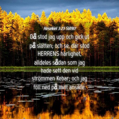 Picture 04 - Hesekiel 3:23 SV1917 - Då stod jag upp och gick ut på slätten; och - Bible Verse Picture