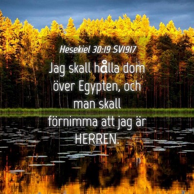 Picture 04 - Hesekiel 30:19 SV1917 - Jag skall hålla dom över Egypten, och man skall - Bible Verse Picture