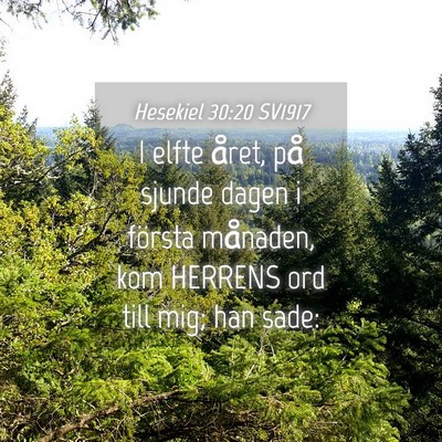 Picture 04 - Hesekiel 30:20 SV1917 - I elfte året, på sjunde dagen i första - Bible Verse Picture