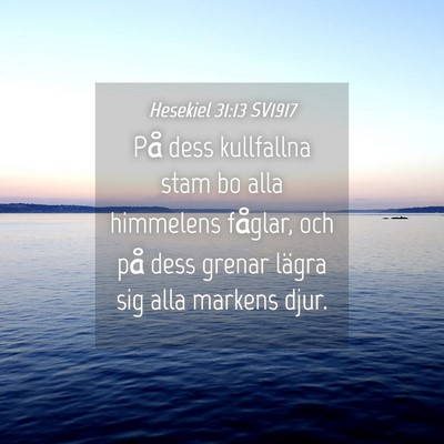 Picture 04 - Hesekiel 31:13 SV1917 - På dess kullfallna stam bo alla himmelens - Bible Verse Picture