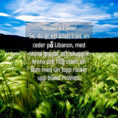 Picture 04 - Hesekiel 31:3 SV1917 - Se, du är ett ädelt träd, en ceder på - Bible Verse Picture