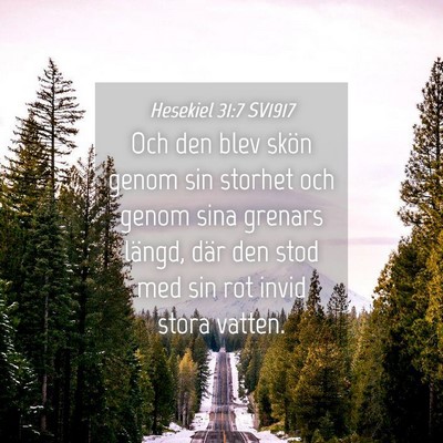 Picture 04 - Hesekiel 31:7 SV1917 - Och den blev skön genom sin storhet och genom - Bible Verse Picture