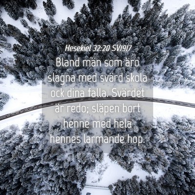 Picture 04 - Hesekiel 32:20 SV1917 - Bland män som äro slagna med svärd skola ock - Bible Verse Picture