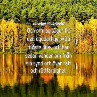Picture 04 - Hesekiel 33:14 SV1917 - Och om jag säger till den ogudaktige: »Du - Bible Verse Picture