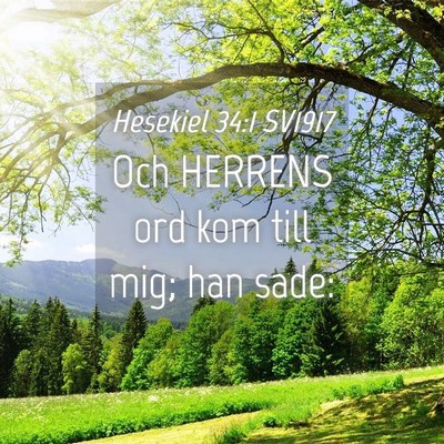 Picture 04 - Hesekiel 34:1 SV1917 - Och HERRENS ord kom till mig; han - Bible Verse Picture