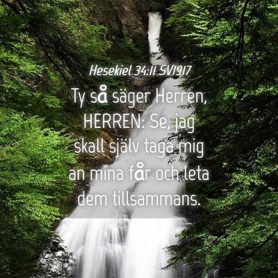 Picture 04 - Hesekiel 34:11 SV1917 - Ty så säger Herren, HERREN: Se, jag skall - Bible Verse Picture