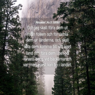 Picture 04 - Hesekiel 34:13 SV1917 - Och jag skall föra dem ut ifrån folken och - Bible Verse Picture