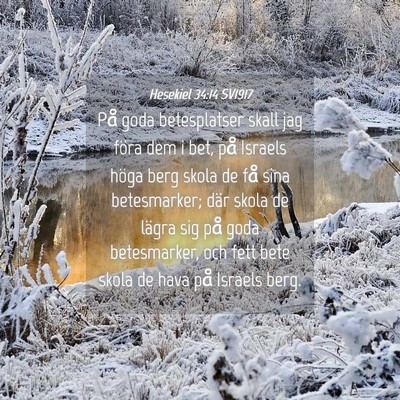 Picture 04 - Hesekiel 34:14 SV1917 - På goda betesplatser skall jag föra dem i bet, - Bible Verse Picture
