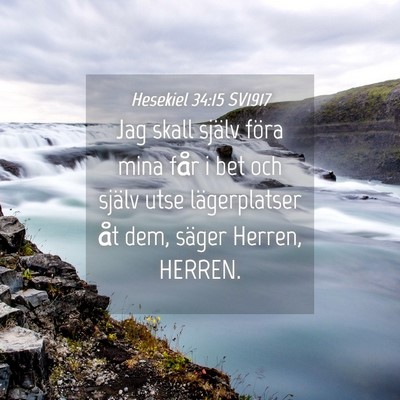 Picture 04 - Hesekiel 34:15 SV1917 - Jag skall själv föra mina får i bet och själv - Bible Verse Picture