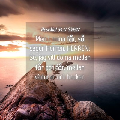 Picture 04 - Hesekiel 34:17 SV1917 - Men I, mina får, så säger Herren, HERREN: Se, - Bible Verse Picture