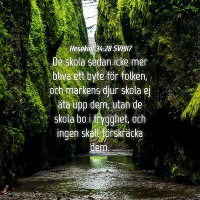 Picture 04 - Hesekiel 34:28 SV1917 - De skola sedan icke mer bliva ett byte för - Bible Verse Picture
