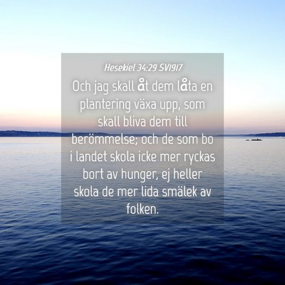Picture 04 - Hesekiel 34:29 SV1917 - Och jag skall åt dem låta en plantering växa - Bible Verse Picture