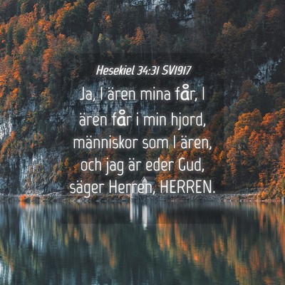 Picture 04 - Hesekiel 34:31 SV1917 - Ja, I ären mina får, I ären får i min hjord, - Bible Verse Picture